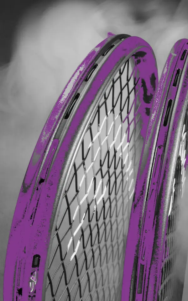 dzienniksquasha-squash-8120435 - violet b
