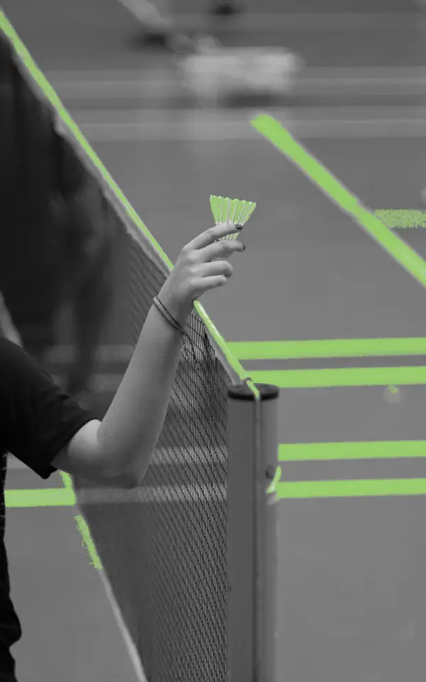 stero_hh-badminton-4557886 - vert b